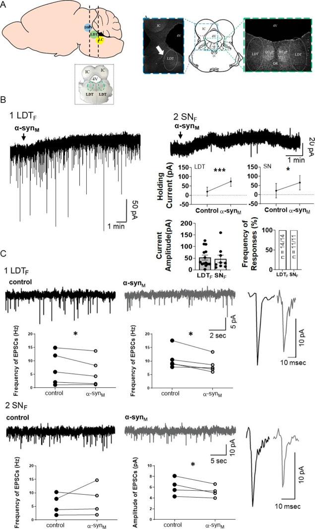 https://cdn.ncbi.nlm.nih.gov/pmc/blobs/4a6f/10500827/c0dd6349e465/13578_2023_1105_Fig1_HTML.jpg