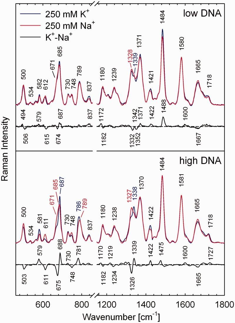 https://cdn.ncbi.nlm.nih.gov/pmc/blobs/4a73/3553954/db8c09ea8caa/gks1135f4p.jpg