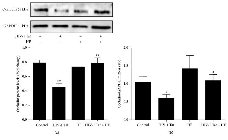 https://cdn.ncbi.nlm.nih.gov/pmc/blobs/4a74/4985576/4abcb029d45f/OMCL2016-4196572.002.jpg