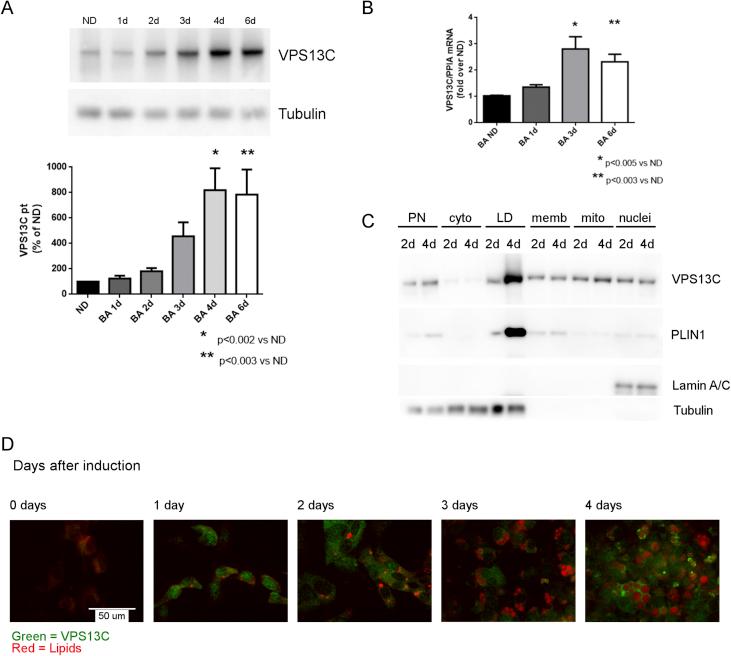 https://cdn.ncbi.nlm.nih.gov/pmc/blobs/4a75/5784322/f387def9d03d/gr3.jpg
