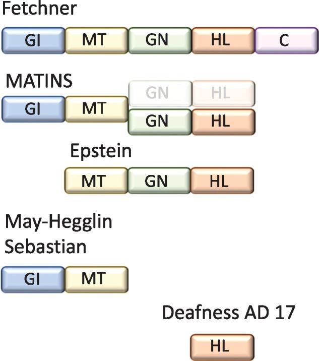 https://cdn.ncbi.nlm.nih.gov/pmc/blobs/4a75/6671427/5100e495647d/sfz103f1.jpg
