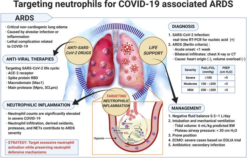 https://cdn.ncbi.nlm.nih.gov/pmc/blobs/4a76/7583590/0cd7b142dab5/fphar-11-572009-g001.jpg