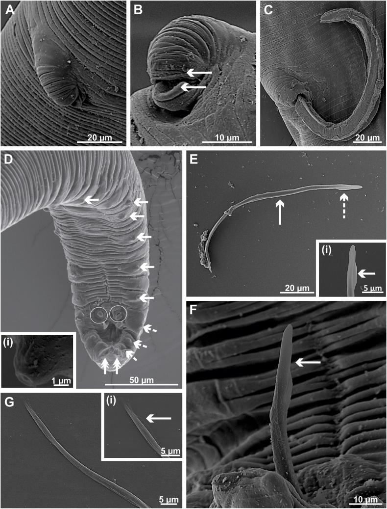 https://cdn.ncbi.nlm.nih.gov/pmc/blobs/4a7e/9619150/f71934ec06e4/gr3.jpg