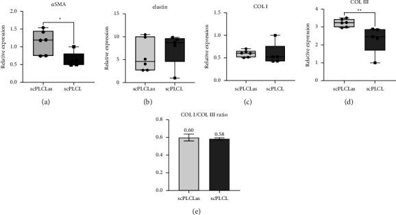 https://cdn.ncbi.nlm.nih.gov/pmc/blobs/4a80/11919108/1533c6bda362/JTERM2023-6404468.012.jpg
