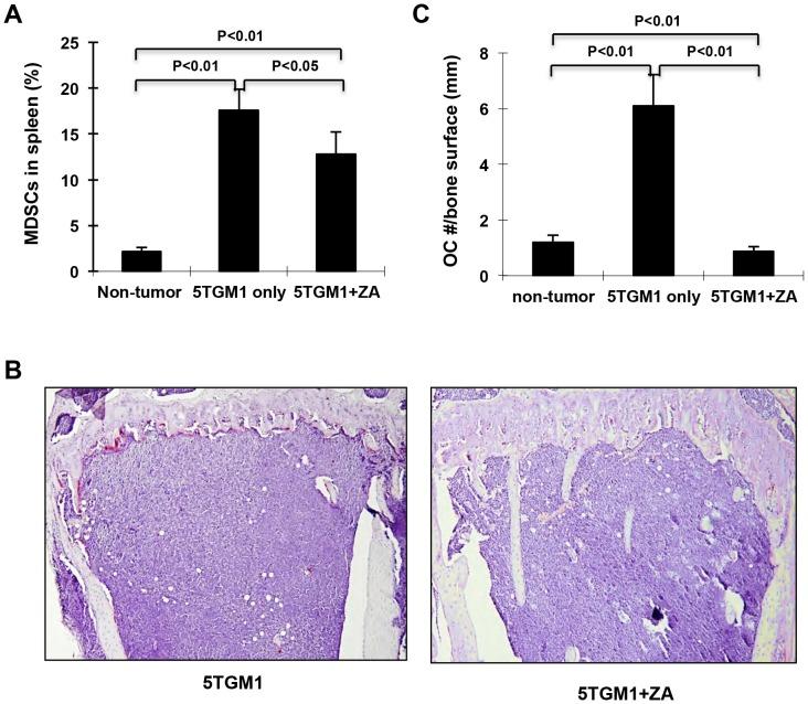 https://cdn.ncbi.nlm.nih.gov/pmc/blobs/4a80/3500251/ba3ddedea411/pone.0048871.g007.jpg