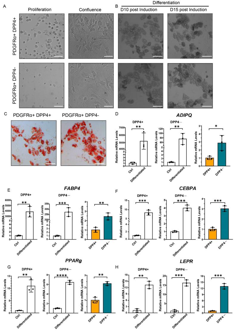 https://cdn.ncbi.nlm.nih.gov/pmc/blobs/4a82/12320172/2f2902ac8ebb/gr2.jpg