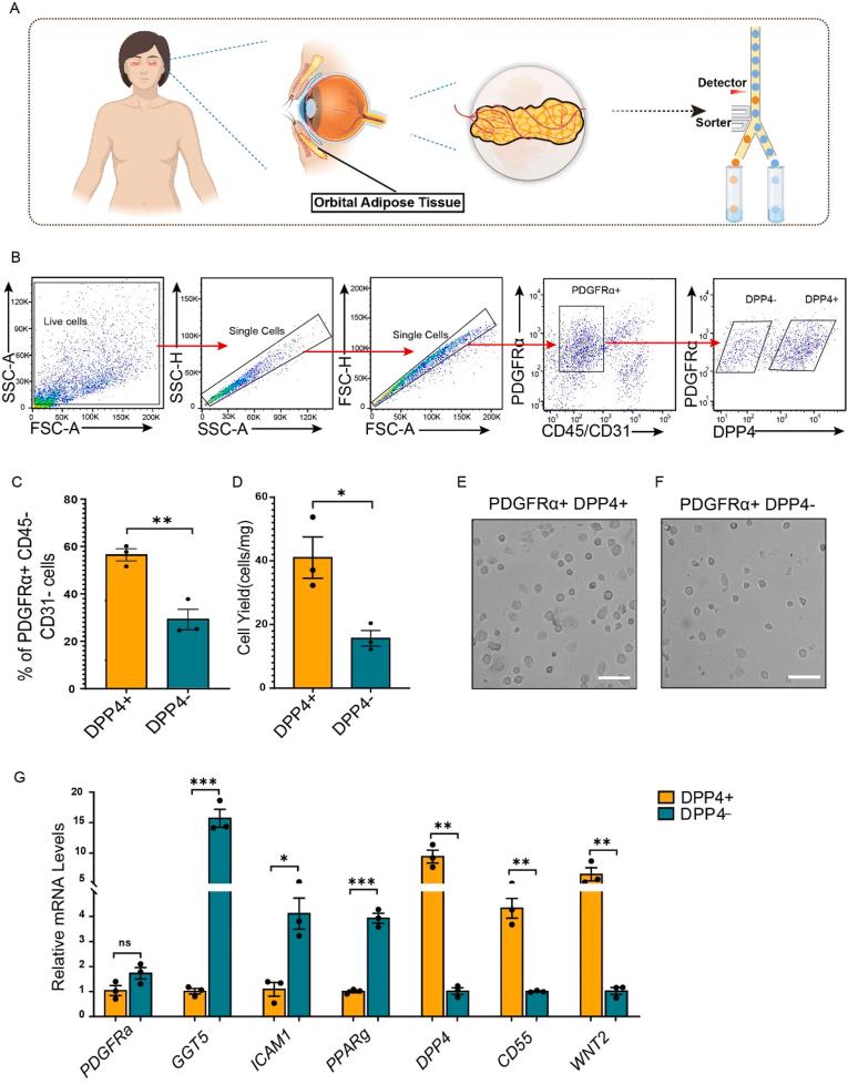 https://cdn.ncbi.nlm.nih.gov/pmc/blobs/4a82/12320172/3b959e2866af/gr1.jpg