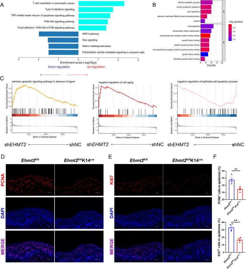 https://cdn.ncbi.nlm.nih.gov/pmc/blobs/4a83/10517171/c8f4a795a962/41419_2023_6134_Fig4_HTML.jpg