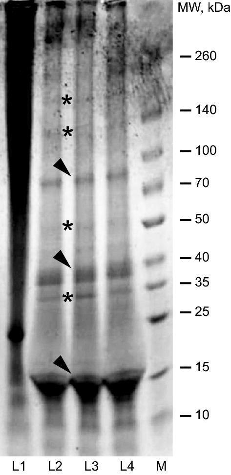 https://cdn.ncbi.nlm.nih.gov/pmc/blobs/4a83/7595037/6fc57e20b388/41598_2020_74766_Fig3_HTML.jpg