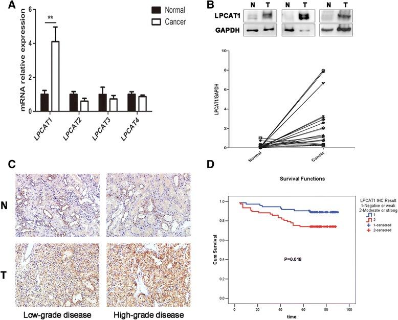 https://cdn.ncbi.nlm.nih.gov/pmc/blobs/4a84/5427523/ce053a281029/13046_2017_525_Fig2_HTML.jpg