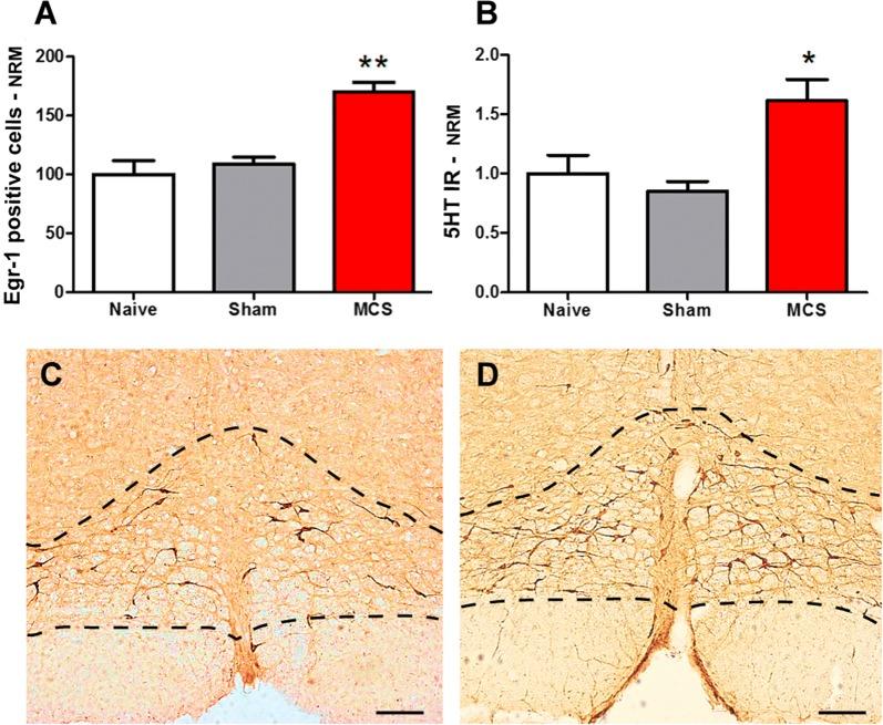 https://cdn.ncbi.nlm.nih.gov/pmc/blobs/4a84/6432755/0763242db1e0/12993_2019_156_Fig3_HTML.jpg