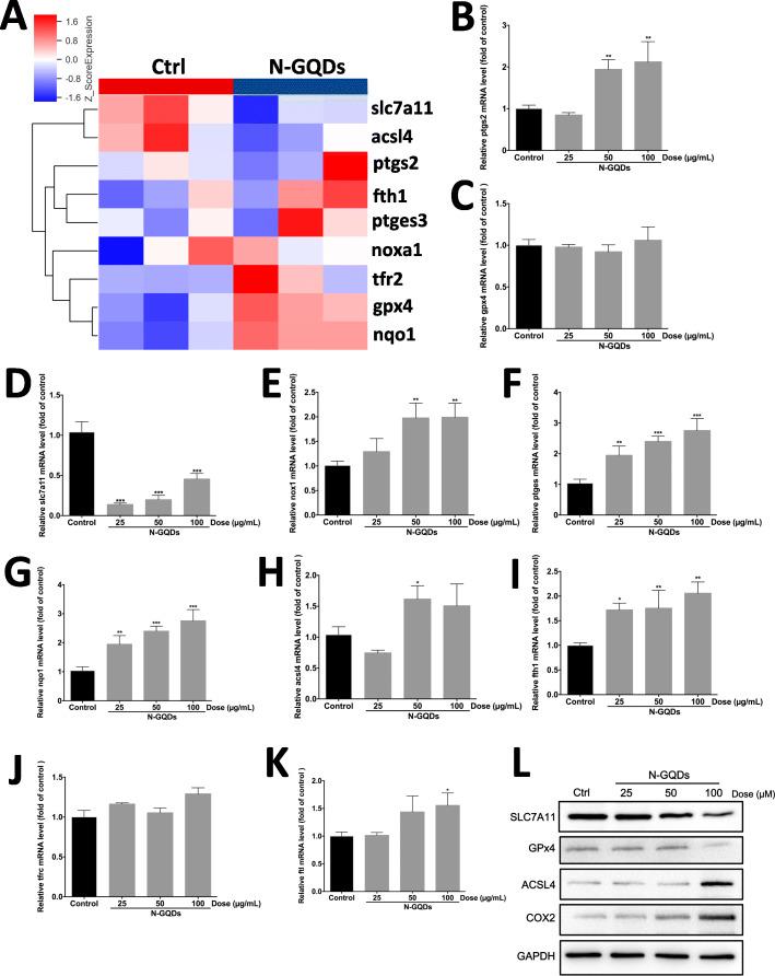 https://cdn.ncbi.nlm.nih.gov/pmc/blobs/4a88/7353734/e10f127a3ddd/12989_2020_363_Fig5_HTML.jpg
