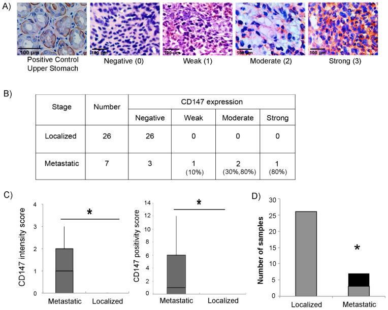 https://cdn.ncbi.nlm.nih.gov/pmc/blobs/4a88/9331498/2006aa48438c/cells-11-02267-g006.jpg