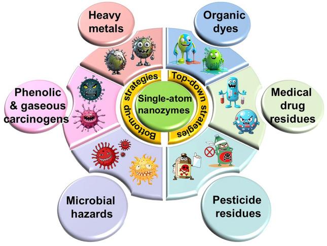 https://cdn.ncbi.nlm.nih.gov/pmc/blobs/4a8a/12037469/05e056220b61/40820_2025_1734_Fig1_HTML.jpg