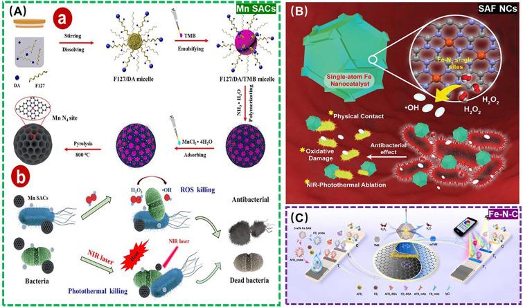 https://cdn.ncbi.nlm.nih.gov/pmc/blobs/4a8a/12037469/629c3312855c/40820_2025_1734_Fig13_HTML.jpg