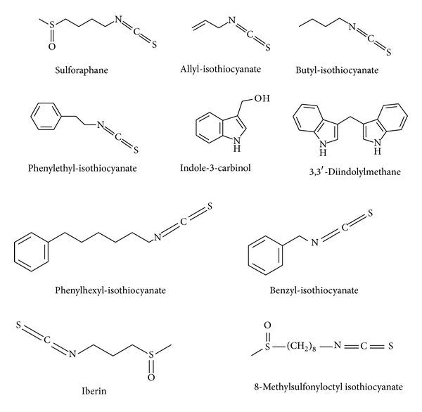 https://cdn.ncbi.nlm.nih.gov/pmc/blobs/4a8b/3885109/00f2b1ff1a67/OXIMED2013-964539.002.jpg