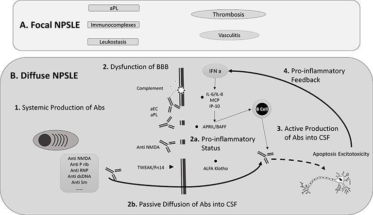 https://cdn.ncbi.nlm.nih.gov/pmc/blobs/4a8c/5298362/703a6a134d3d/rmmj-8-1-e0001-g002.jpg