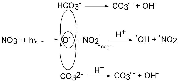 https://cdn.ncbi.nlm.nih.gov/pmc/blobs/4a8c/9370000/acb6f1e18402/molecules-27-04855-g002.jpg