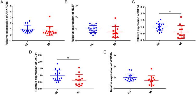 https://cdn.ncbi.nlm.nih.gov/pmc/blobs/4a91/10238209/1ef7aa4f2c6a/IJGM-16-2111-g0008.jpg