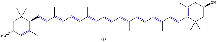 https://cdn.ncbi.nlm.nih.gov/pmc/blobs/4a91/12189671/aa84fa915d90/antioxidants-14-00646-g001a.jpg