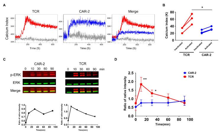 https://cdn.ncbi.nlm.nih.gov/pmc/blobs/4a92/7922477/1183d746fc24/cancers-13-00867-g002.jpg