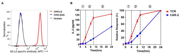 https://cdn.ncbi.nlm.nih.gov/pmc/blobs/4a92/7922477/45b66018811c/cancers-13-00867-g003.jpg