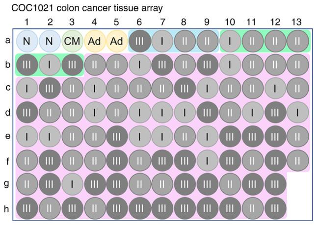 https://cdn.ncbi.nlm.nih.gov/pmc/blobs/4a92/9945078/da4635b59c5f/br-18-03-01604-g01.jpg