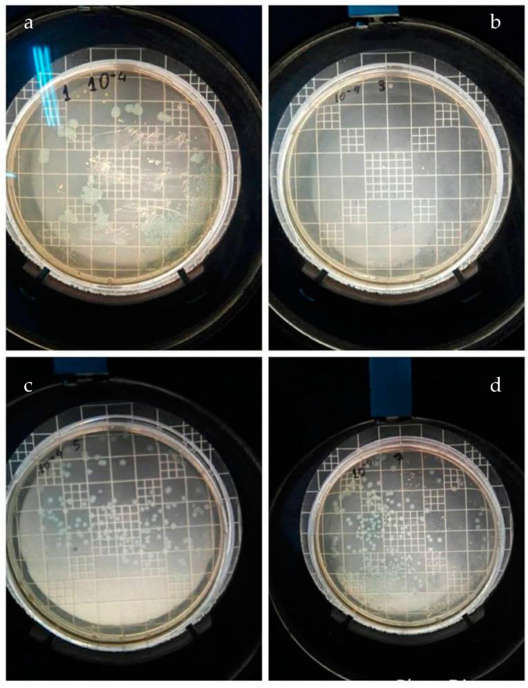 https://cdn.ncbi.nlm.nih.gov/pmc/blobs/4a94/10857080/3bc4850b7725/nanomaterials-14-00291-g012.jpg
