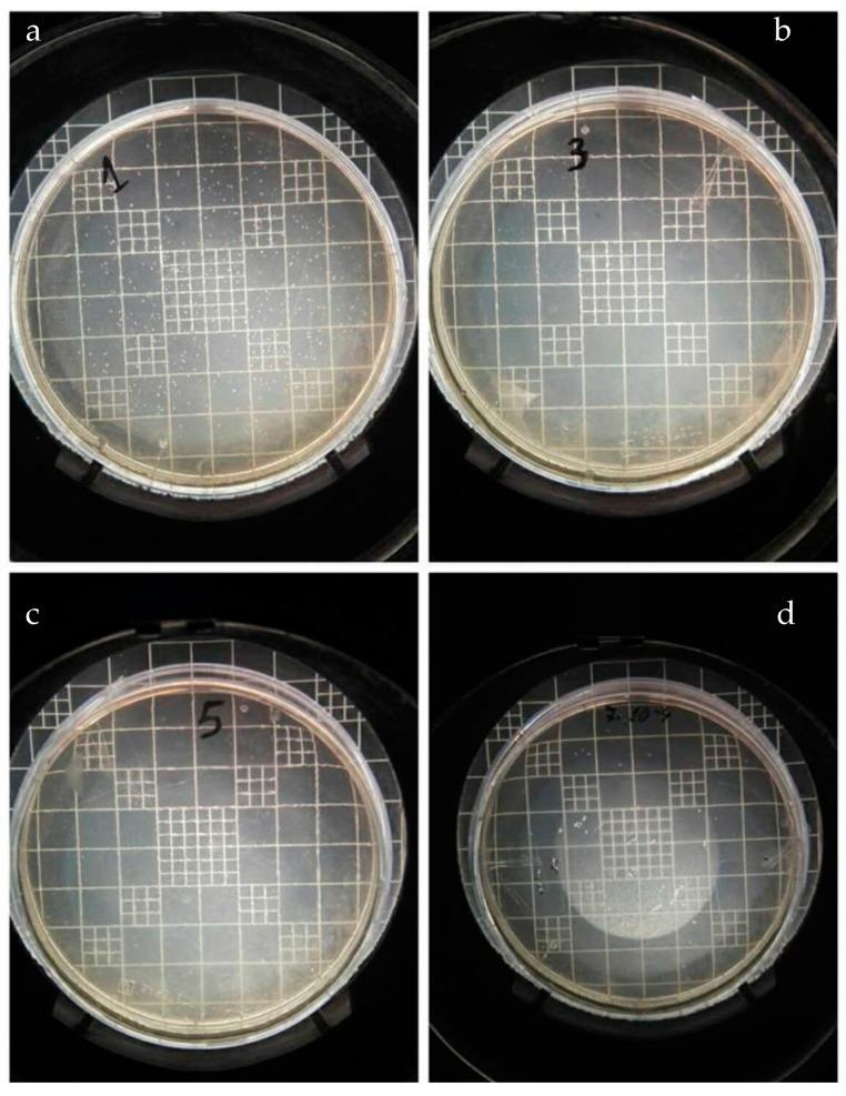 https://cdn.ncbi.nlm.nih.gov/pmc/blobs/4a94/10857080/b6729989b0d7/nanomaterials-14-00291-g010.jpg