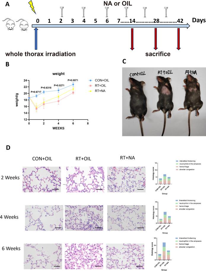 https://cdn.ncbi.nlm.nih.gov/pmc/blobs/4a94/11668677/a38a4d525438/fimmu-15-1405020-g004.jpg