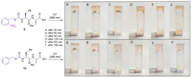 https://cdn.ncbi.nlm.nih.gov/pmc/blobs/4a94/8001155/278354c9853c/nanomaterials-11-00704-g002.jpg