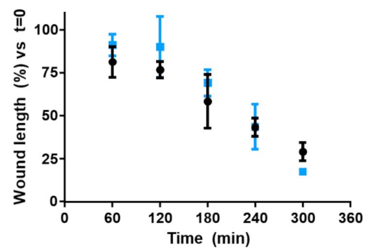 https://cdn.ncbi.nlm.nih.gov/pmc/blobs/4a94/8001155/f8cfc3bef8e0/nanomaterials-11-00704-g011.jpg
