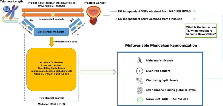 https://cdn.ncbi.nlm.nih.gov/pmc/blobs/4a96/11145789/30dd5c33b098/40246_2024_622_Fig1_HTML.jpg