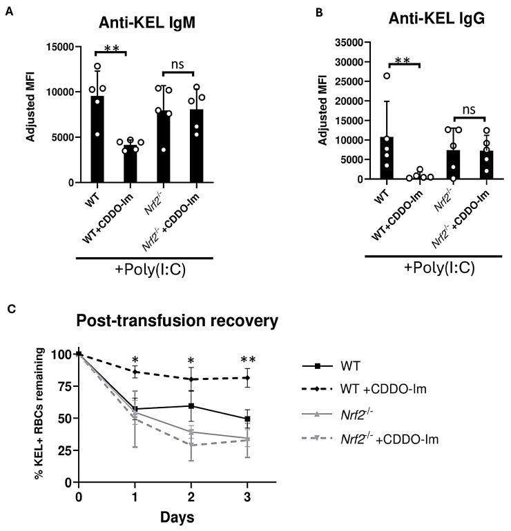 https://cdn.ncbi.nlm.nih.gov/pmc/blobs/4a96/12189440/352ca02bc69f/antioxidants-14-00678-g003.jpg