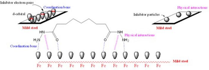 https://cdn.ncbi.nlm.nih.gov/pmc/blobs/4a98/8933592/b97c1539c3cd/41598_2022_8146_Fig18_HTML.jpg