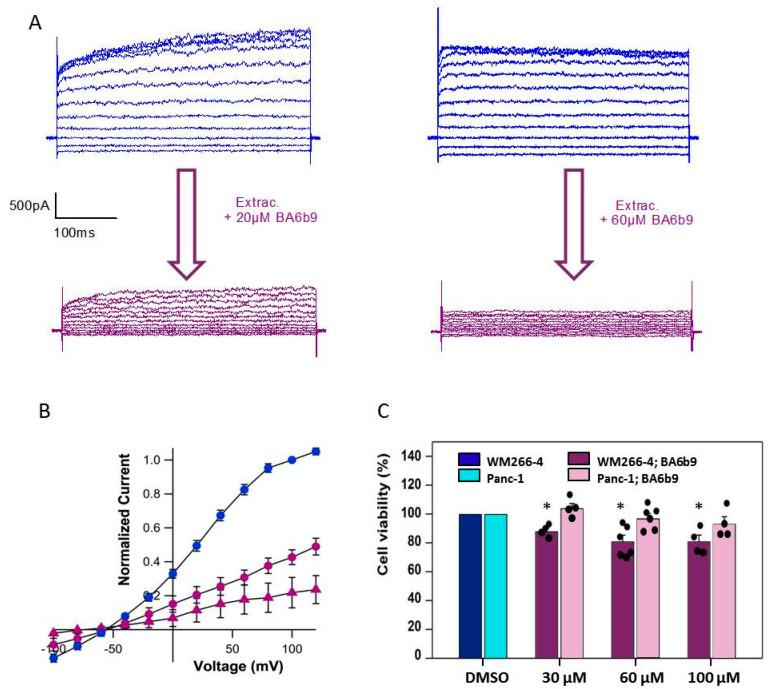 https://cdn.ncbi.nlm.nih.gov/pmc/blobs/4a99/10671816/505aae23f95f/ijms-24-16285-g007.jpg