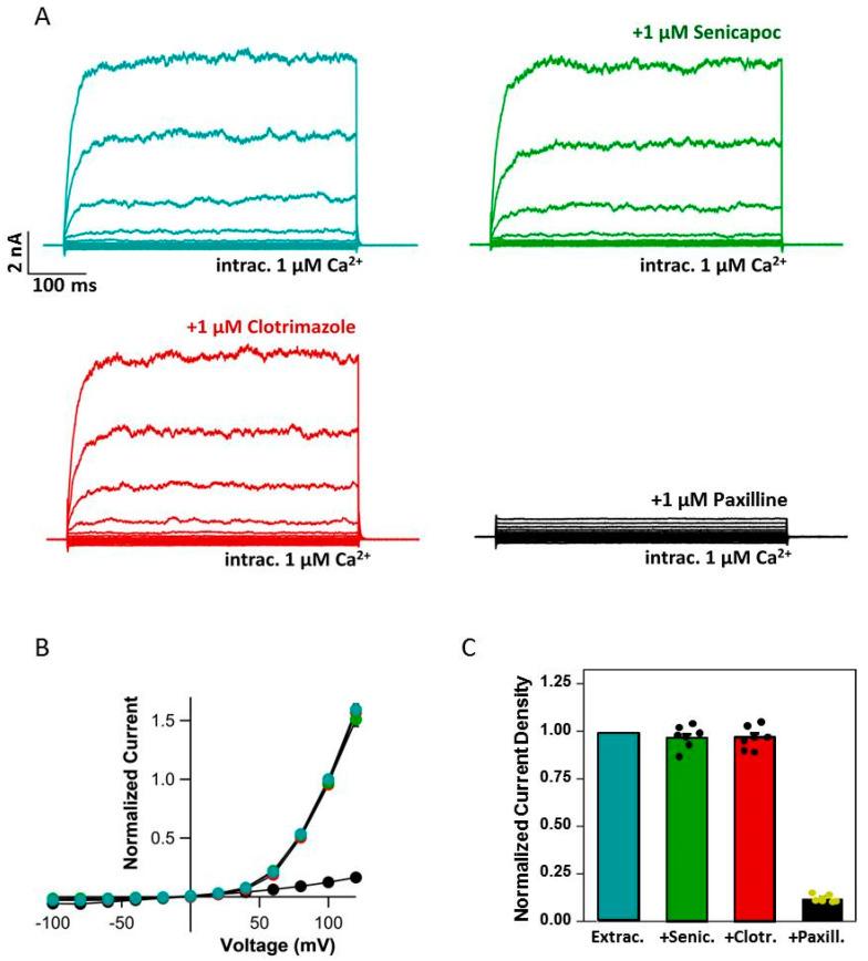 https://cdn.ncbi.nlm.nih.gov/pmc/blobs/4a99/10671816/a32f14e31de8/ijms-24-16285-g004.jpg