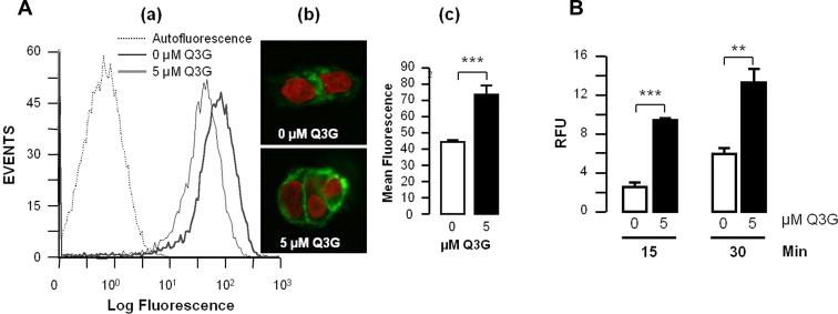 https://cdn.ncbi.nlm.nih.gov/pmc/blobs/4a9c/4208090/08ff8aa60d94/gr4.jpg