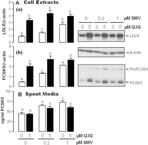 https://cdn.ncbi.nlm.nih.gov/pmc/blobs/4a9c/4208090/1aaad93f954e/gr5.jpg