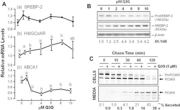 https://cdn.ncbi.nlm.nih.gov/pmc/blobs/4a9c/4208090/4964333eed27/gr2.jpg