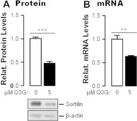 https://cdn.ncbi.nlm.nih.gov/pmc/blobs/4a9c/4208090/fef3c9faebb8/gr3.jpg