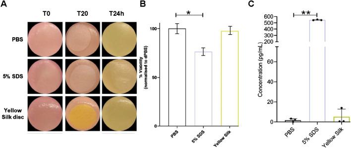 https://cdn.ncbi.nlm.nih.gov/pmc/blobs/4a9d/11447452/164651bb25c7/fbioe-12-1466757-g007.jpg