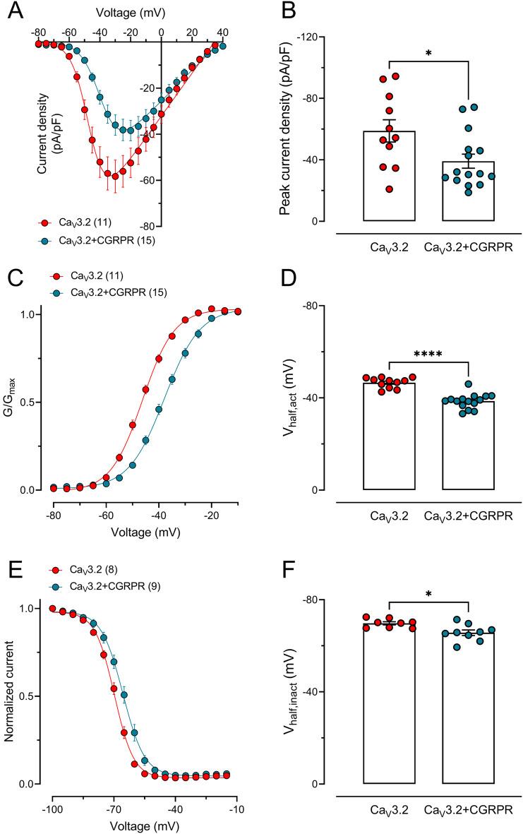 https://cdn.ncbi.nlm.nih.gov/pmc/blobs/4a9e/11656763/ab3322beee83/10194_2024_1921_Fig2_HTML.jpg