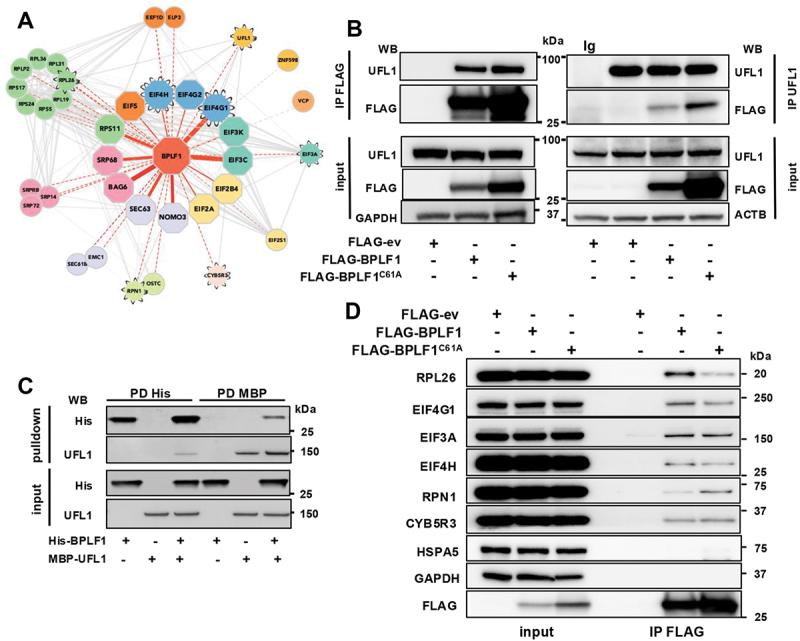 https://cdn.ncbi.nlm.nih.gov/pmc/blobs/4a9e/12013442/2807e9ec75d7/KAUP_A_2440846_F0001_C.jpg