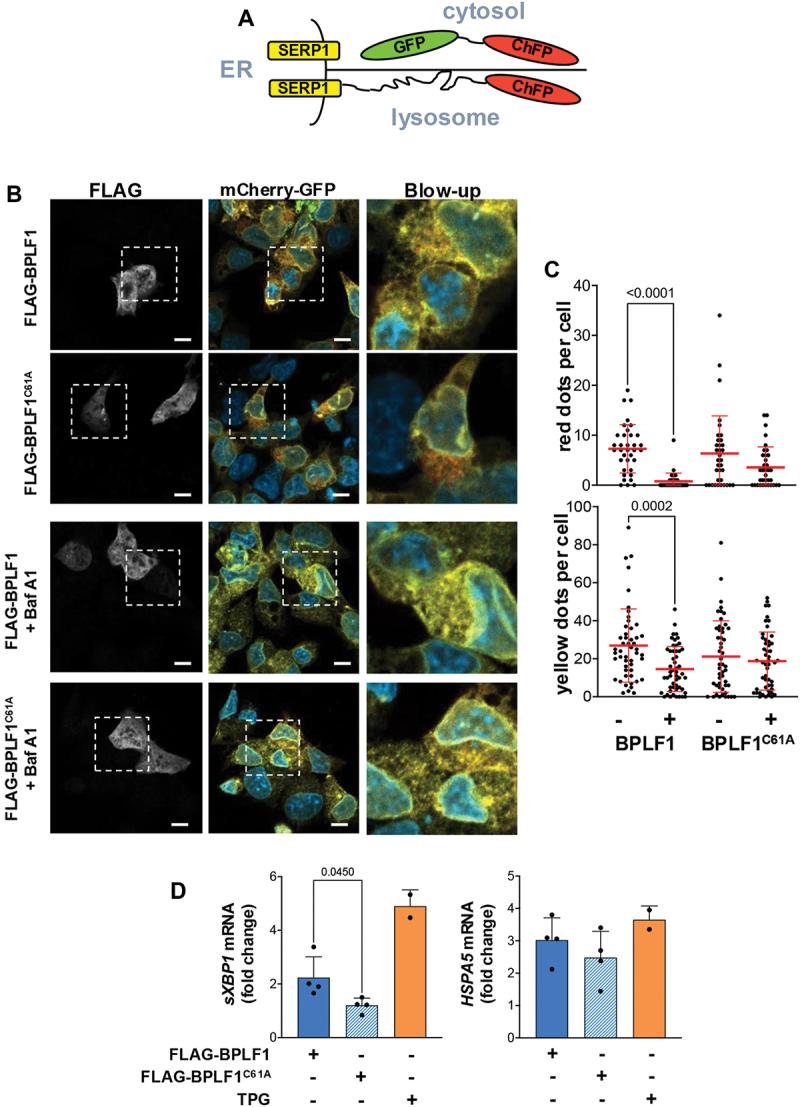 https://cdn.ncbi.nlm.nih.gov/pmc/blobs/4a9e/12013442/881a782d183d/KAUP_A_2440846_F0008_C.jpg