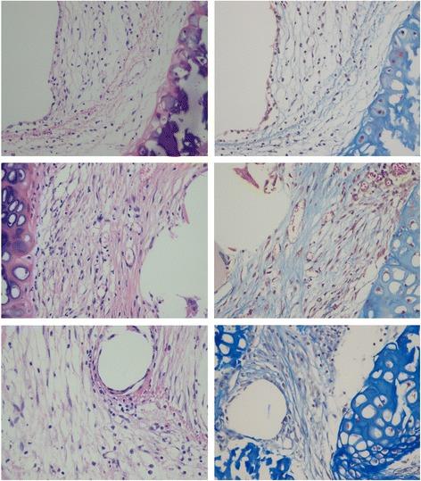 https://cdn.ncbi.nlm.nih.gov/pmc/blobs/4a9e/5445521/38732bde6d06/13019_2017_605_Fig4_HTML.jpg