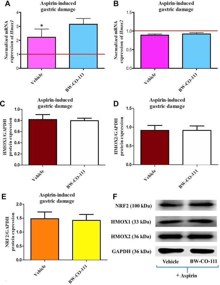 https://cdn.ncbi.nlm.nih.gov/pmc/blobs/4a9f/7893125/275931970b20/gr8.jpg