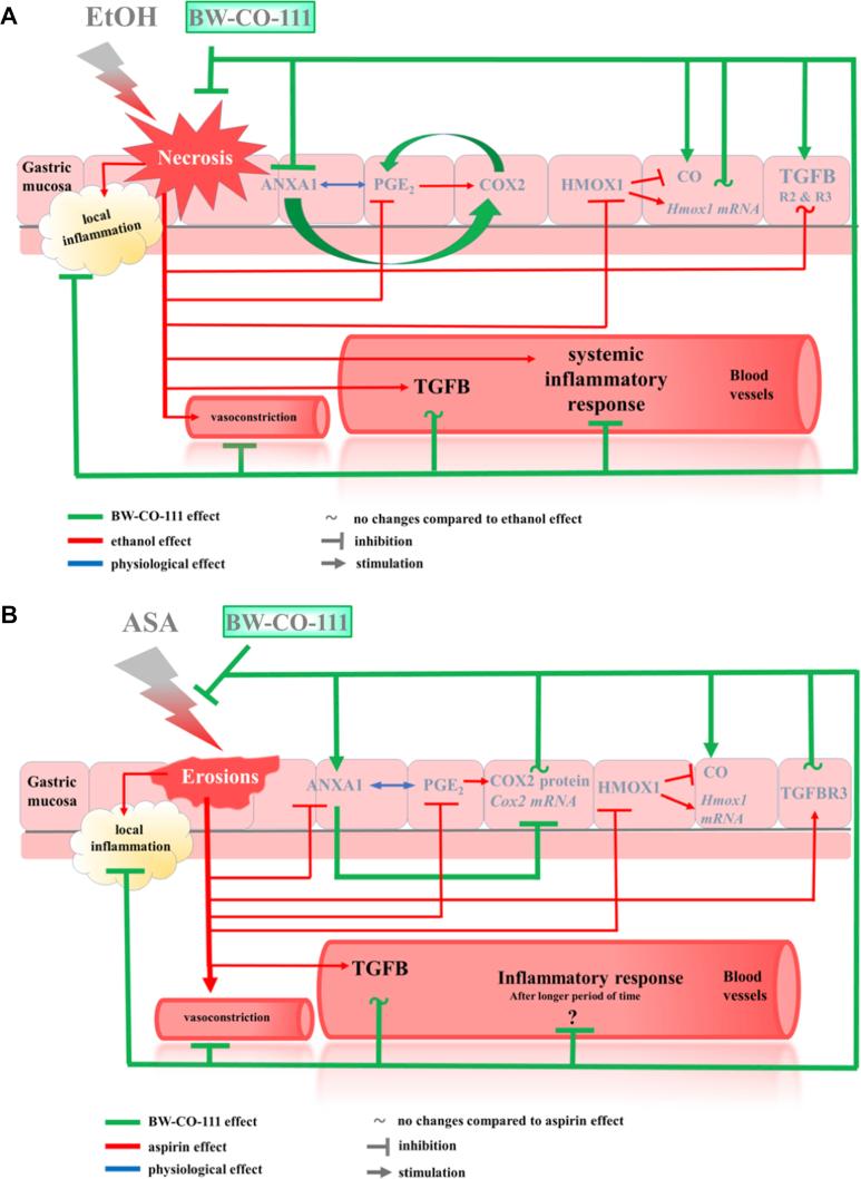 https://cdn.ncbi.nlm.nih.gov/pmc/blobs/4a9f/7893125/9725fd685442/gr12.jpg