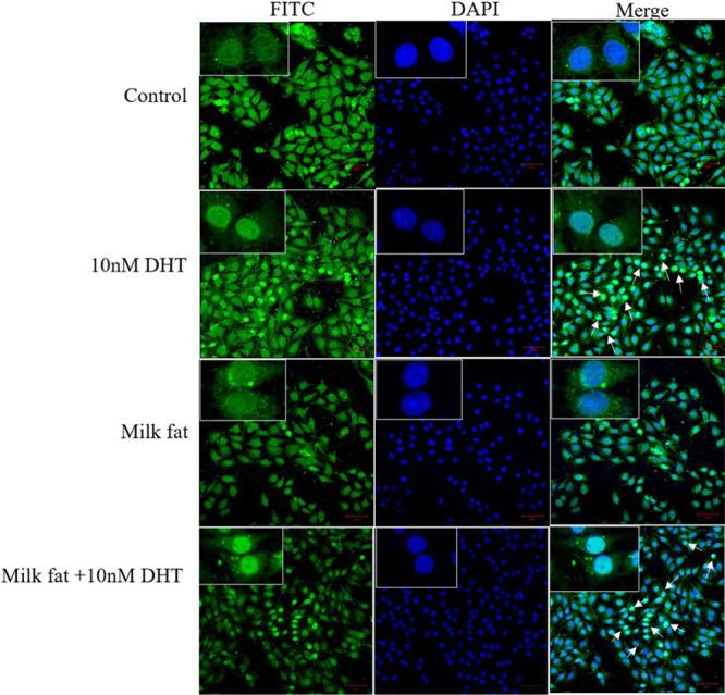 https://cdn.ncbi.nlm.nih.gov/pmc/blobs/4aa0/9670299/6fdeb57c0aa5/ao2c05344_0008.jpg