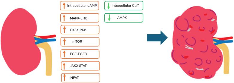 https://cdn.ncbi.nlm.nih.gov/pmc/blobs/4aa2/11723166/cddfb1b17e7a/nutrients-17-00145-g001.jpg